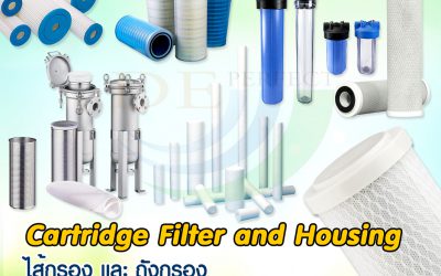 Cartridge Filter and Housing
